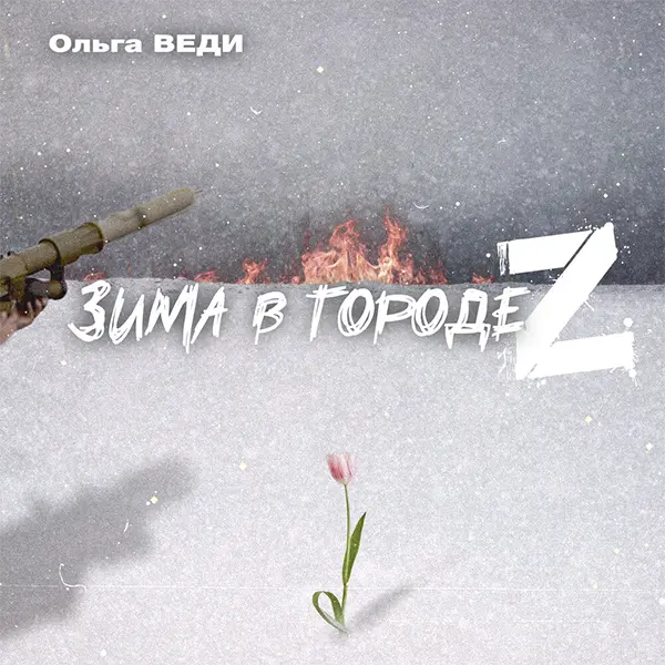 Зима в городе Z — обложка