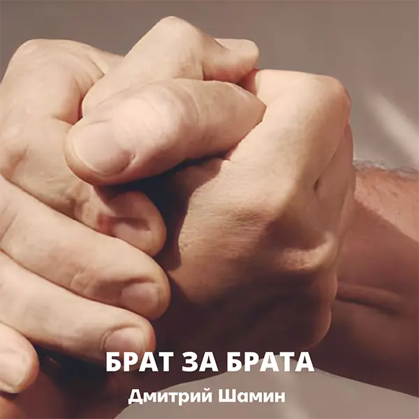 Брат за брата — обложка
