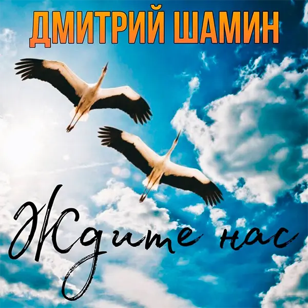 Ждите нас — обложка