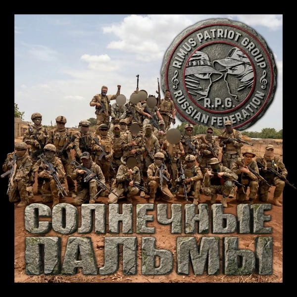 Солнечные пальмы — обложка