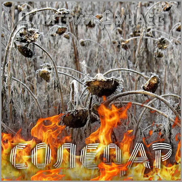 Соледар — обложка